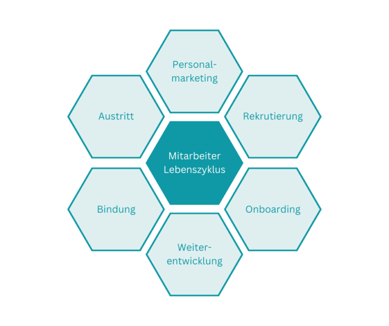Grafik Mitarbeiter- Lebenszyklus